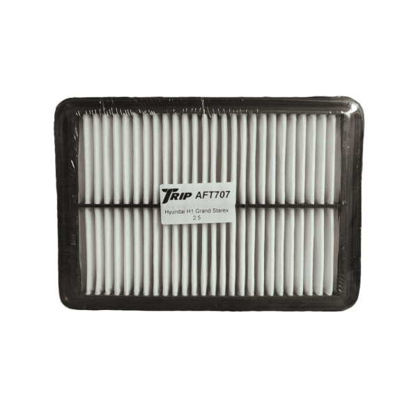 Filtro de Aire Hyundai Starex H1 2.5 Trip