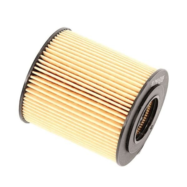 Filtro de Aceite BMW X5 3.0, BMW 318I 2.0 WL7403 Wix