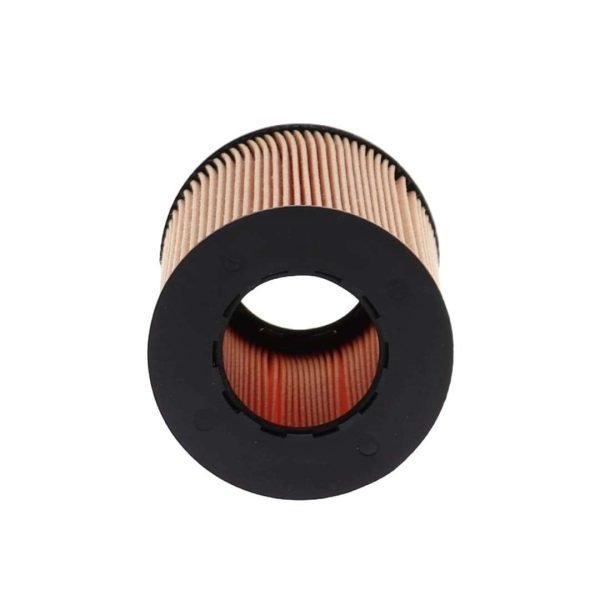 Filtro de Aceite Volvo XC60, XC70, BMW WL7461 Wix - Imagen 2