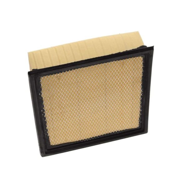 Filtro de Aire Ford F150 Raptor, Expedition, F250 49883 Wix