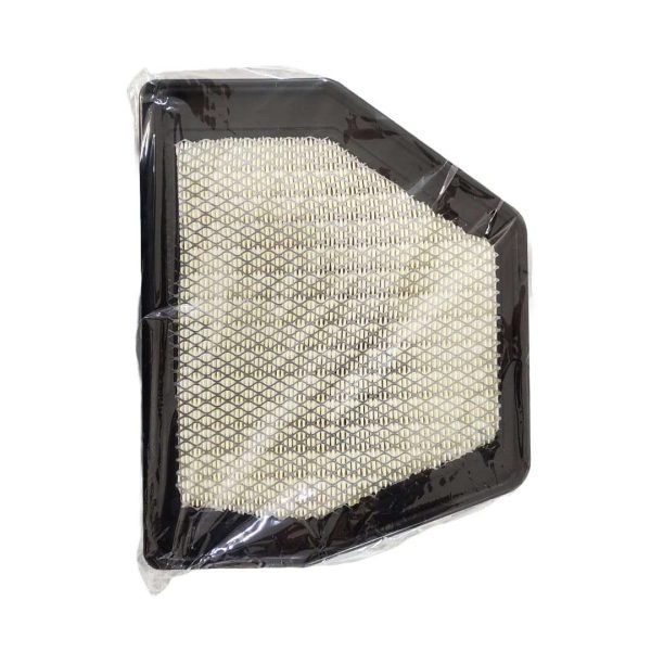 Filtro de Aire Chevrolet Captiva 2.4 2010 Typer - Imagen 2