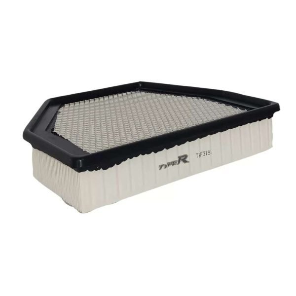 Filtro de Aire Chevrolet Captiva 2.4 2010 Typer
