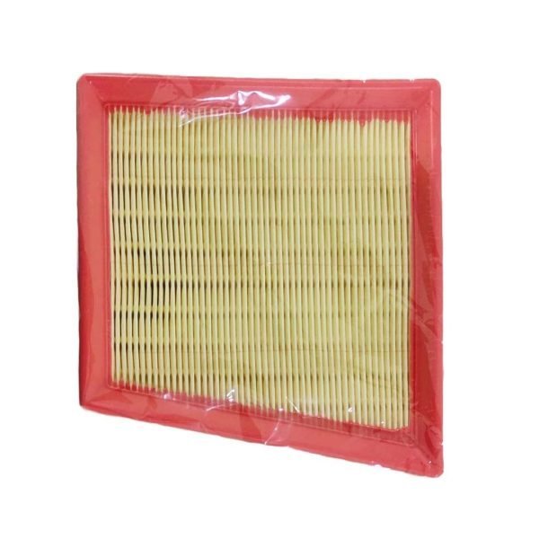 Filtro de Aire Ford Ecosport 2.0 2012-2017 Typer